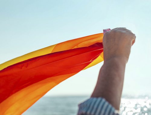 LGBTQ + CRUISES