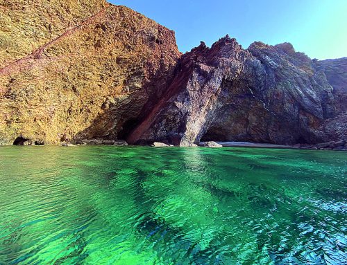 MYKONOS HALF-DAY CRUISE